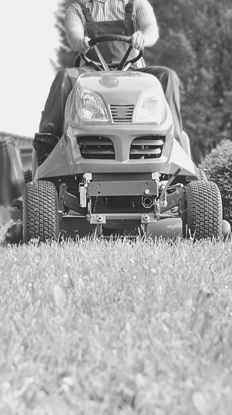 lawn-maintenance